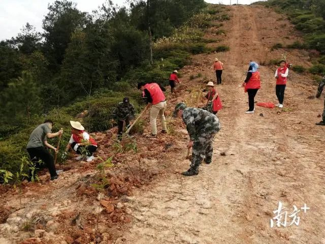 植树5.jpg